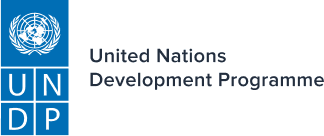 UNDP brand